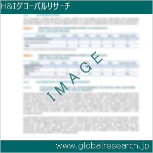 グローバルリサーチ調査レポートのイメージ